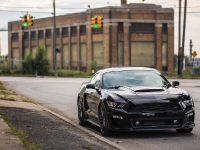 2015 Roush Ford Mustang Lineup (2014) - picture 1 of 14