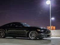 2015 Roush Ford Mustang Lineup (2014) - picture 4 of 14
