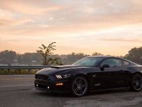 2015 Roush Ford Mustang Lineup (2014) - picture 7 of 14