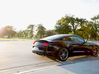 2015 Roush Ford Mustang Lineup (2014)