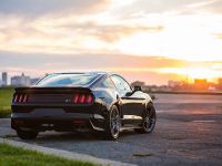 2015 Roush Ford Mustang Lineup (2014) - picture 13 of 14