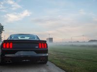 2015 Roush Ford Mustang Lineup (2014) - picture 14 of 14