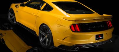 Saleen S302 Black Label Mustang (2015) - picture 4 of 28