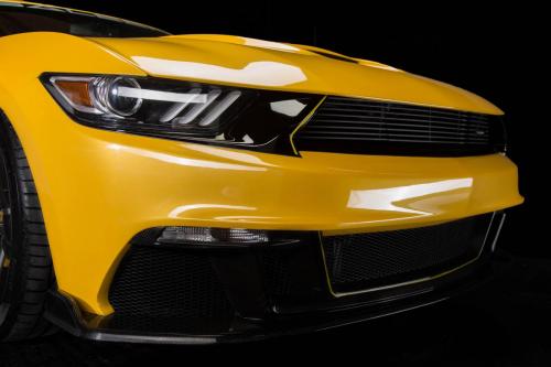 Saleen S302 Black Label Mustang (2015) - picture 17 of 28
