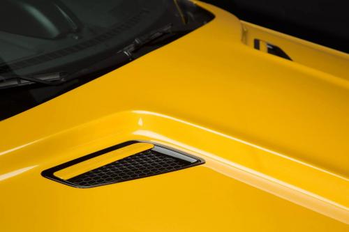 Saleen S302 Black Label Mustang (2015) - picture 24 of 28