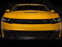 Saleen S302 Black Label Mustang (2015) - picture 1 of 28