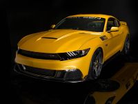 Saleen S302 Black Label Mustang (2015) - picture 2 of 28