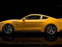 Saleen S302 Black Label Mustang (2015) - picture 3 of 28