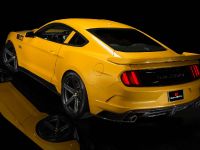 Saleen S302 Black Label Mustang (2015) - picture 4 of 28