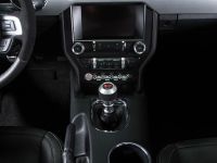 Saleen S302 Black Label Mustang (2015) - picture 10 of 28