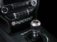 Saleen S302 Black Label Mustang (2015)