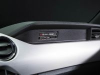 Saleen S302 Black Label Mustang (2015)