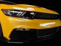 Saleen S302 Black Label Mustang (2015)