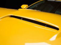 Saleen S302 Black Label Mustang (2015)