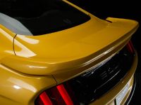 Saleen S302 Black Label Mustang (2015)