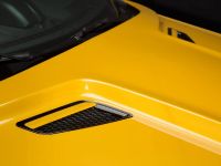 Saleen S302 Black Label Mustang (2015)