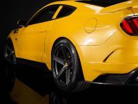 Saleen S302 Black Label Mustang (2015) - picture 26 of 28