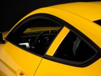 Saleen S302 Black Label Mustang (2015)