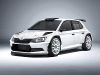 Skoda Fabia R 5 (2015) - picture 1 of 3