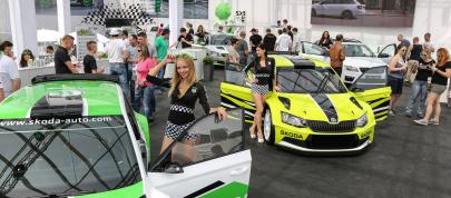 Skoda Fabia R5 Combi (2015) - picture 4 of 7