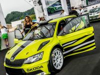 Skoda Fabia R5 Combi (2015) - picture 2 of 7