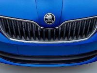 Skoda Fabia (2015) - picture 6 of 7