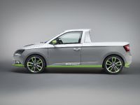 SKODA FUNstar (2015) - picture 2 of 4