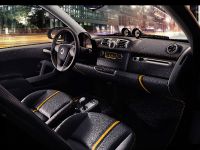 Smart Fortwo Edition Flashlight Cabrio (2015) - picture 2 of 4