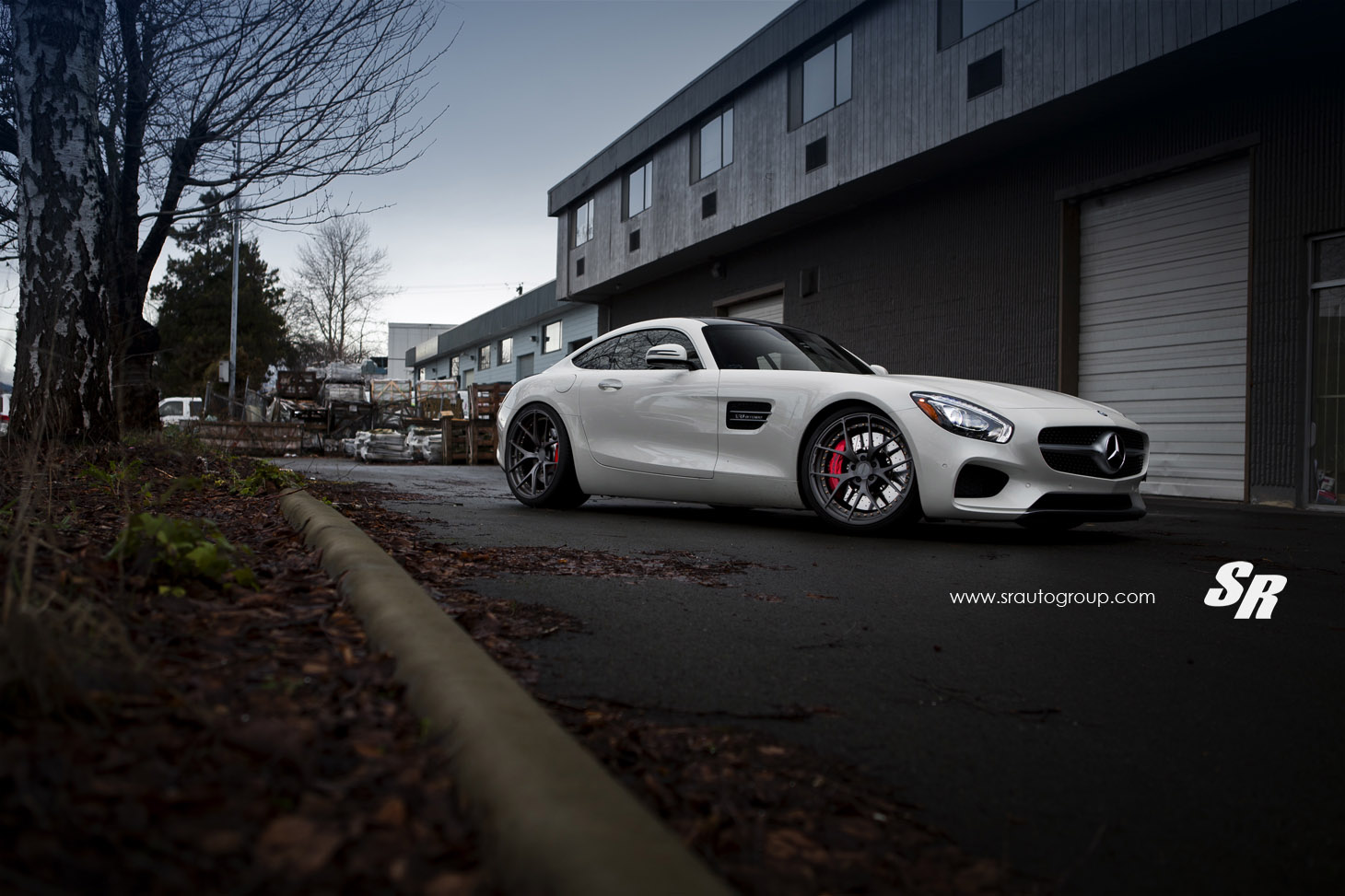 SR Auto Mercedes-Benz AMG GT