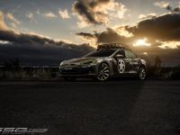 SS Customs Tesla Model S TeslaVets (2015) - picture 1 of 3