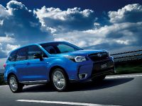 Subaru Forester tS (2015) - picture 1 of 9
