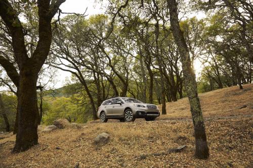 Subaru Outback (2015) - picture 24 of 28