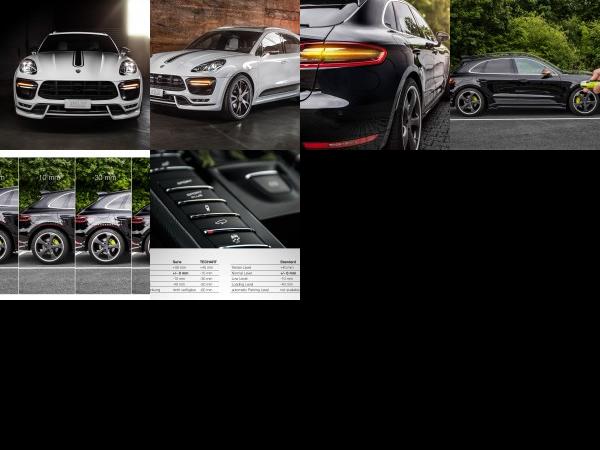 TECHART Porsche Air Suspension Module (2015) - picture 1 of 6