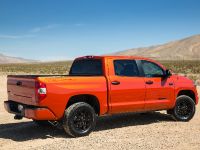 Toyota TRD Pro Series Range (2015) - picture 6 of 7