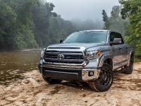 2015 Toyota Tundra Bass Pro Shops Off Road Edition, 2 of 6