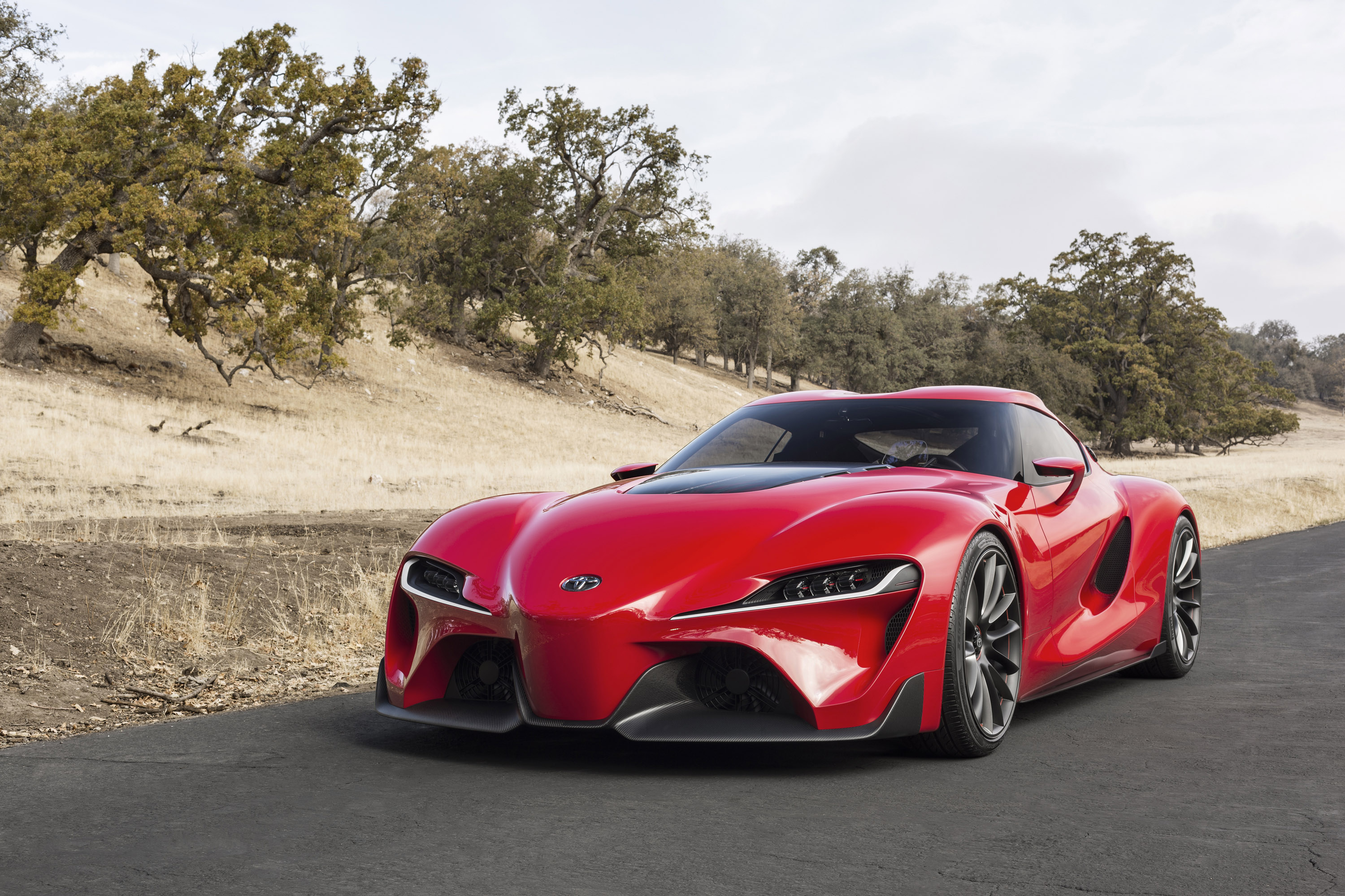 Toyota World Champions at Goodwood Festival of Speed