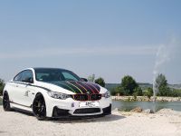 TVW Car Design BMW M4 DTM Champion Edition (2015) - picture 1 of 13