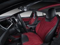 Vilner Tesla Model S (2015) - picture 3 of 15