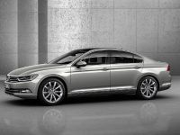 Volkswagen Passat (2015) - picture 13 of 45