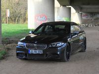 VOS BMW M 550d (2015) - picture 1 of 10