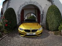 VOS BMW M4 (2015) - picture 1 of 18
