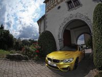 VOS BMW M4 (2015) - picture 3 of 18