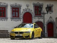 VOS BMW M4 (2015) - picture 4 of 18