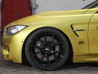 VOS BMW M4 (2015)