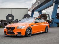 3DDesign BMW M5 (2016) - picture 4 of 11