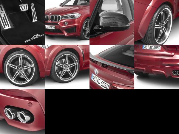 AC Schnitzer BMW X6 FALCON (2016) - picture 13 of 21