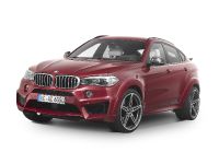 AC Schnitzer BMW X6 FALCON (2016) - picture 6 of 21