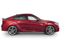 AC Schnitzer BMW X6 FALCON (2016) - picture 8 of 21