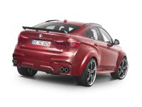 AC Schnitzer BMW X6 FALCON (2016)