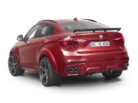 AC Schnitzer BMW X6 FALCON (2016)